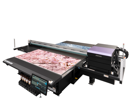 Mimaki  JFX600 Series