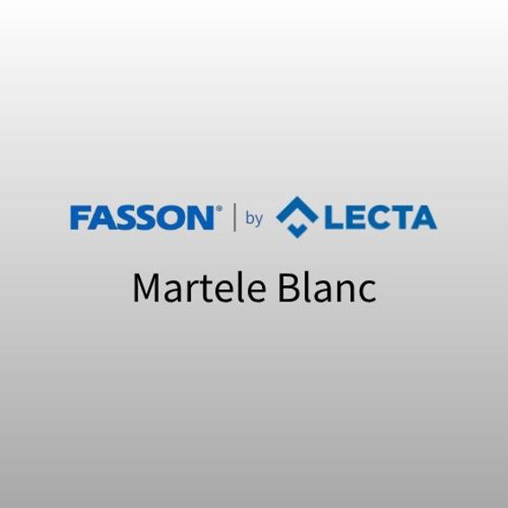 FASSON Martele Blanc Permanent Scored NI 50 x 70 cm 1/200 FSC Mix Credit (FMB90P001)