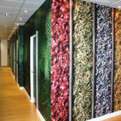 Mactac JT 8700 