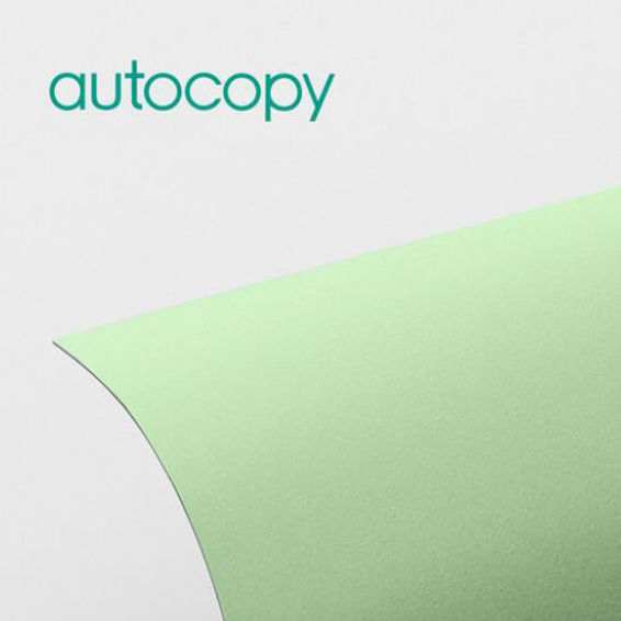 Igepa Autocopy CFB 60G green black copy 43x61 (SG) 1/500