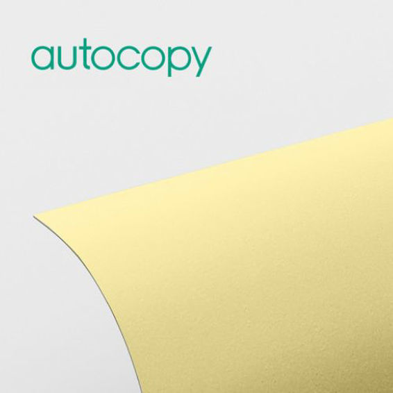 Igepa Autocopy CFB 60G yellow black copy 43x61 (SG) 1/500