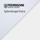 FEDRIGONI